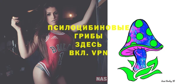 PSILOCYBIN Верхнеуральск