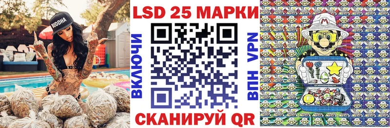 omg маркетплейс  Новоржев  Марки NBOMe 1500мкг  даркнет сайт 