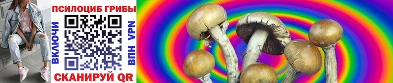 Псилоцибиновые грибы MAGIC MUSHROOMS  наркошоп  Новоржев 